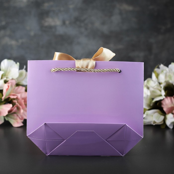 Пакет-сумка ламинированный 21 х 7 х 17 см