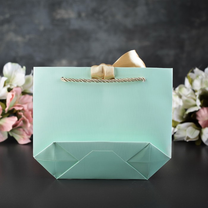 Пакет-сумка ламинированный 21 х 7 х 17 см