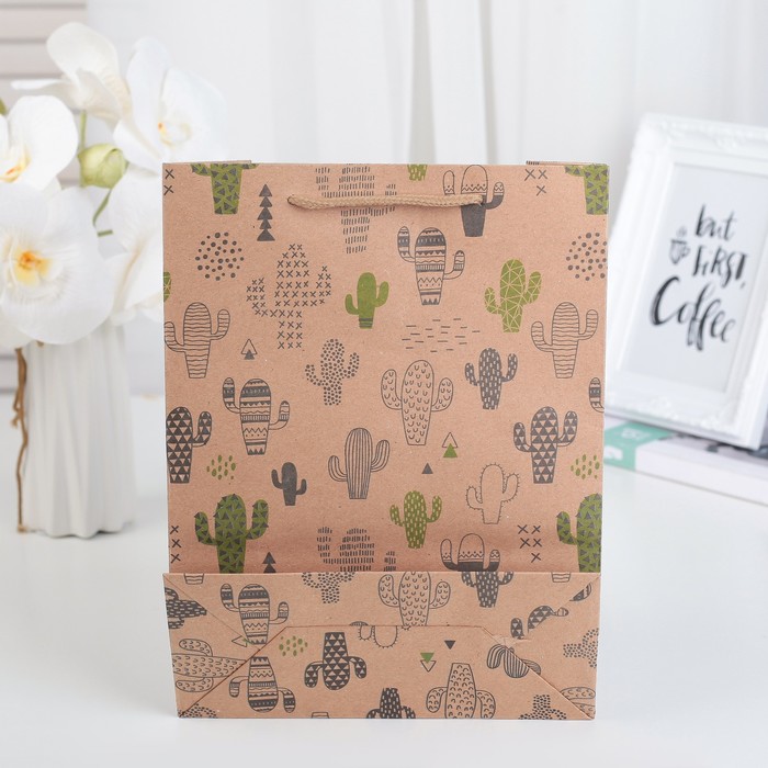 Пакет Крафт 19 х 24 х 8 см