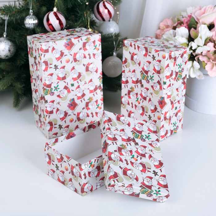 Набор коробок 3в1, 23,5 х 15 х 9,5 - 19,5 х 12 х 7,5 см