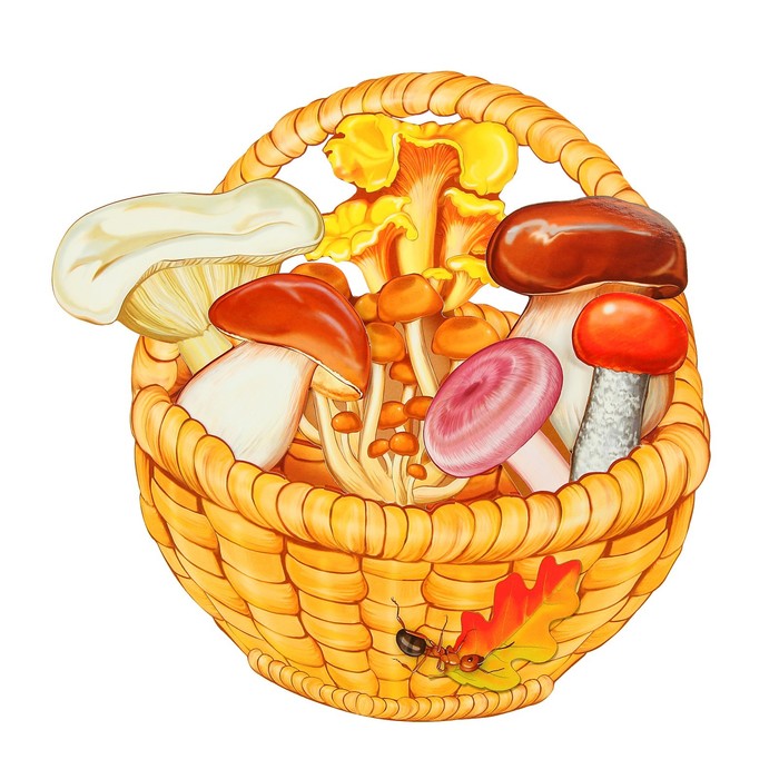 Демонстрационные картинки "Корзинка с грибами", 64 картинки