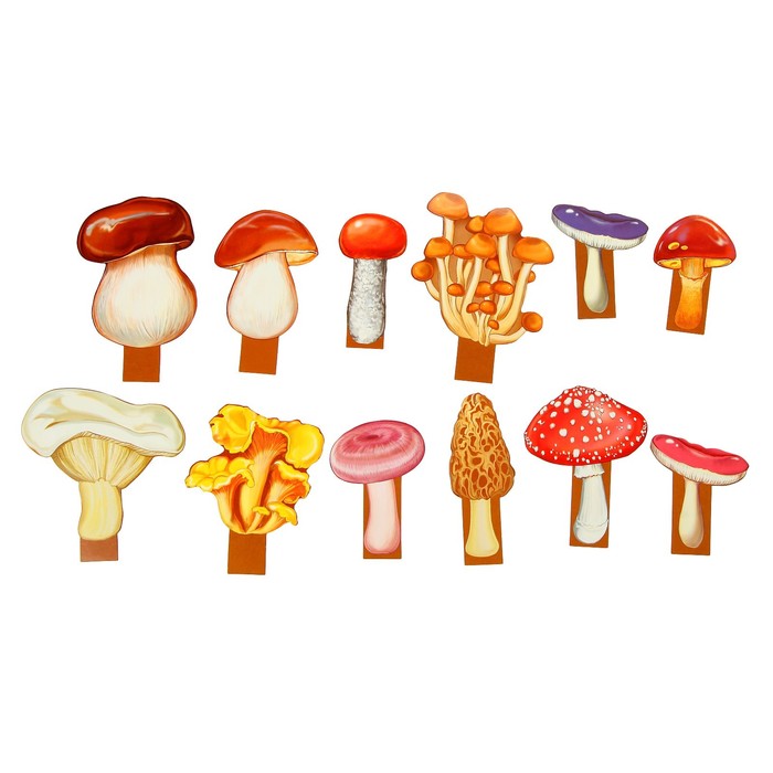 Демонстрационные картинки "Корзинка с грибами", 64 картинки