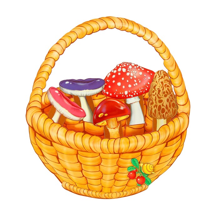Демонстрационные картинки "Корзинка с грибами", 64 картинки