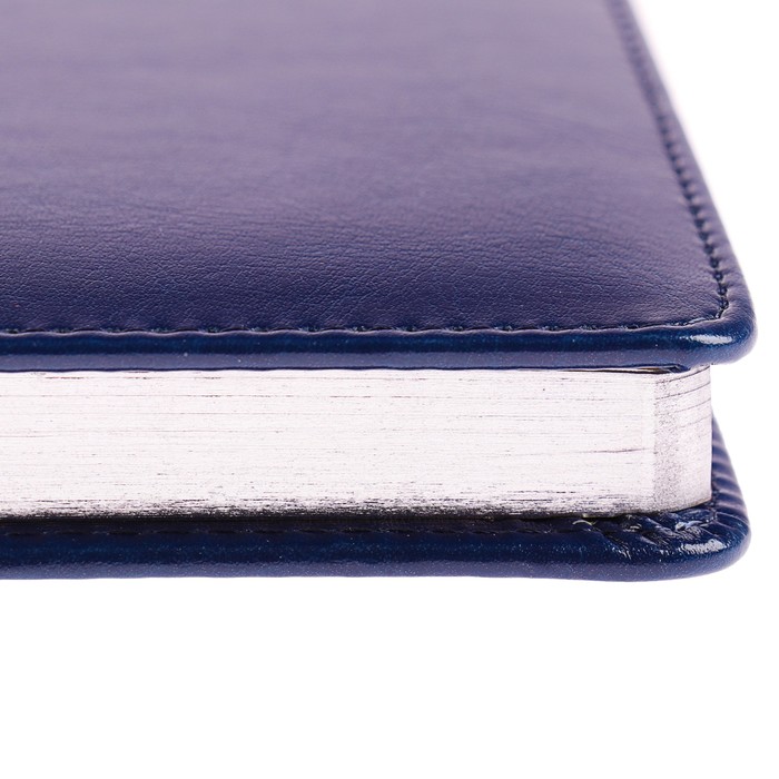 Ежедневник недатированный А5, 136 листов Sidney Nebraska, искусственная кожа, серебряный срез, синий