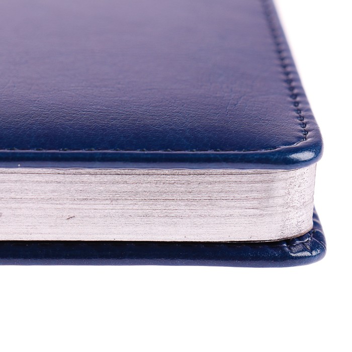 Ежедневник недатированный А6, 136 листов Sidney Nebraska, искусственная кожа, серебряный срез, синий