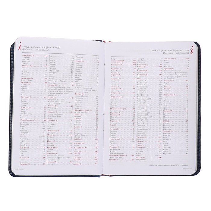 Ежедневник недатированный А6, 136 листов Sidney Nebraska, искусственная кожа, серебряный срез, синий