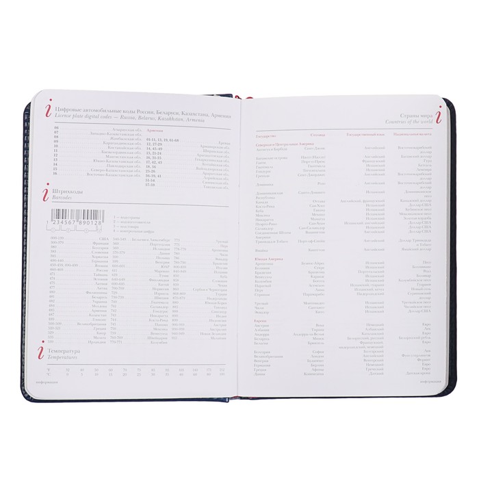 Ежедневник недатированный А6, 136 листов Sidney Nebraska, искусственная кожа, серебряный срез, синий