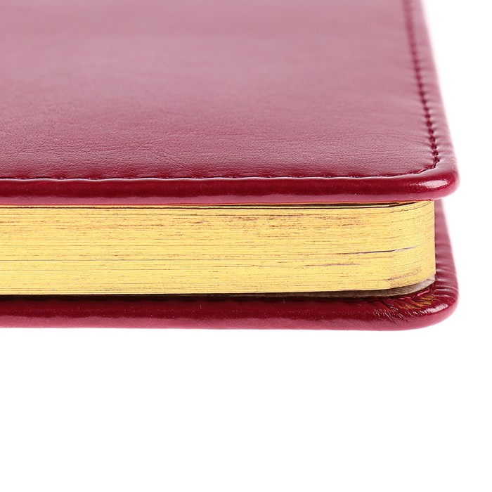 Ежедневник недатированный А4, 136 листов Sidney Nebraska, искусственная кожа, бордовый