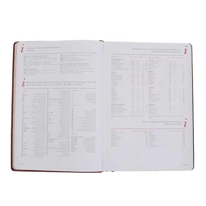 Ежедневник недатированный А4, 136 листов Sidney Nebraska, искусственная кожа, бордовый