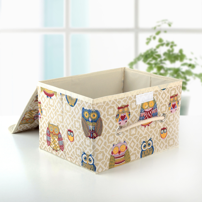 Короб для хранения с крышкой 28х21х17 см "Совушки"