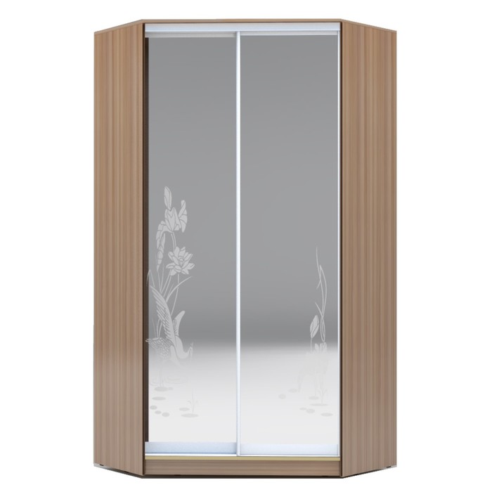 Угловой шкаф-купе Хит-У-23-4-66, 2300х1103х1103 Ясень шимо тёмный/Цапли