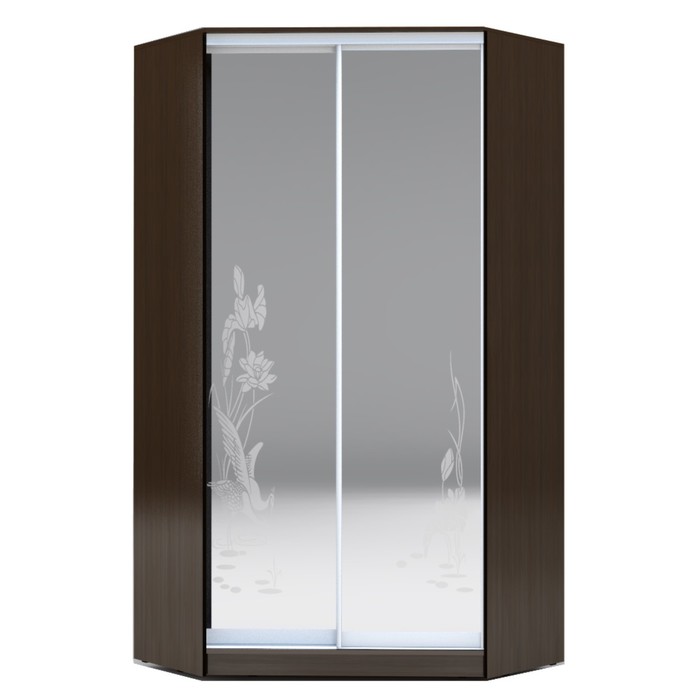 Угловой шкаф-купе Хит-У-23-4-66, 2300х1103х1103 Венге Магия/Цапли