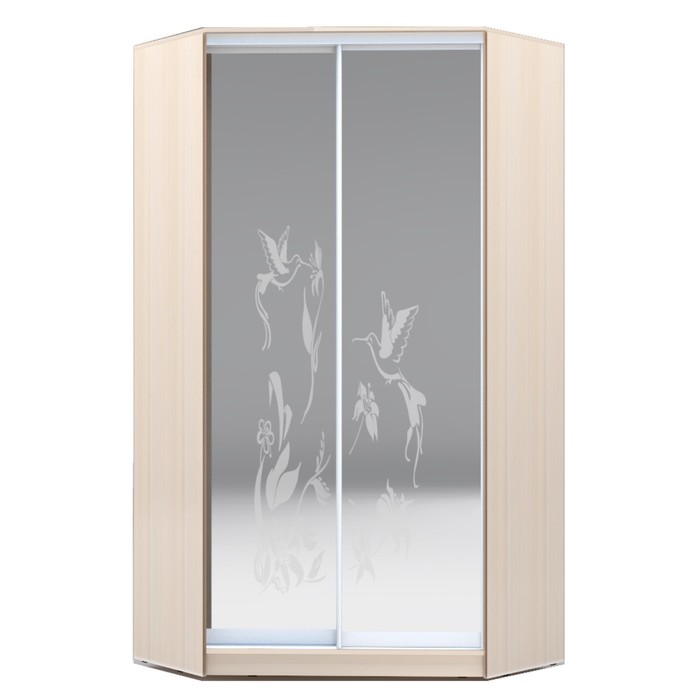 Угловой шкаф-купе Хит-У-23-4-66, 2300х1103х1103 Дуб Девонширский/Колибри