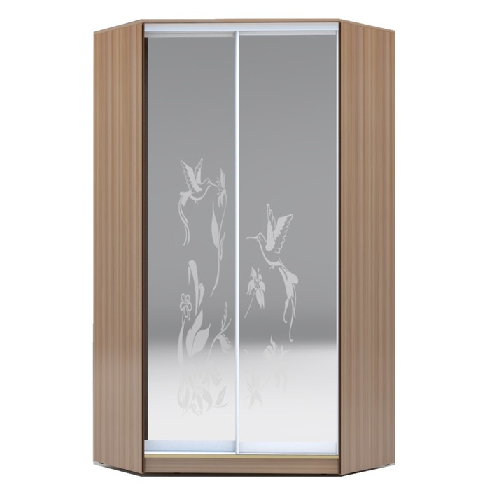 Угловой шкаф-купе Хит-У-23-4-66, 2300х1103х1103 Ясень шимо тёмный/Колибри