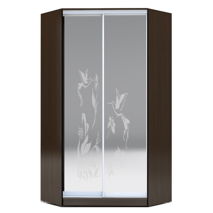Угловой шкаф-купе Хит-У-23-4-66, 2300х1103х1103 Венге Магия/Колибри
