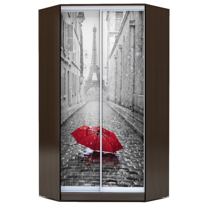 Угловой шкаф-купе Хит-У-23-4-77, 2300х1103х1103 Венге Магия/Париж