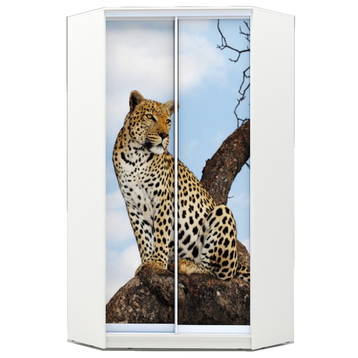 Угловой шкаф-купе Хит-У-23-4-77, 2300х1103х1103 Белый/Леопард