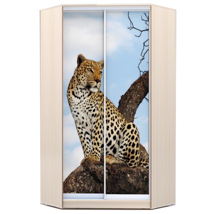 Угловой шкаф-купе Хит-У-23-4-77, 2300х1103х1103 Дуб Девонширский/Леопард