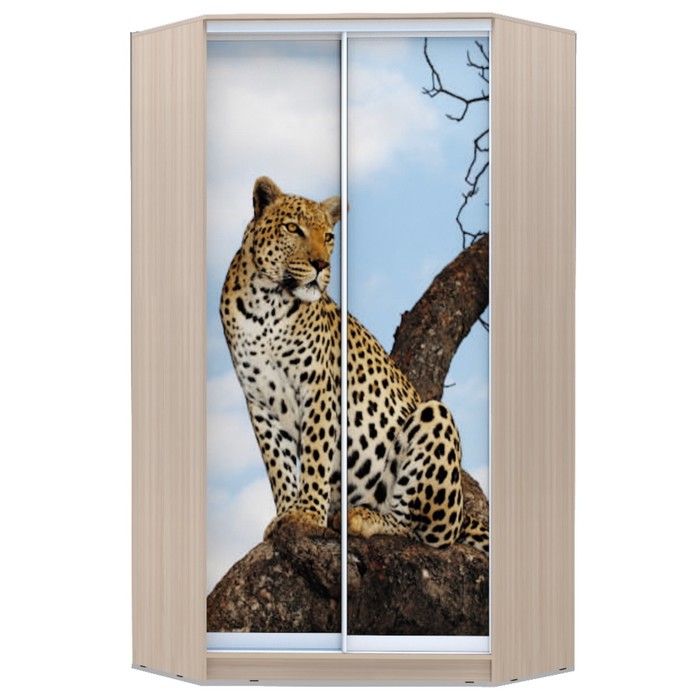 Угловой шкаф-купе Хит-У-23-4-77, 2300х1103х1103 Ясень шимо светлый/Леопард