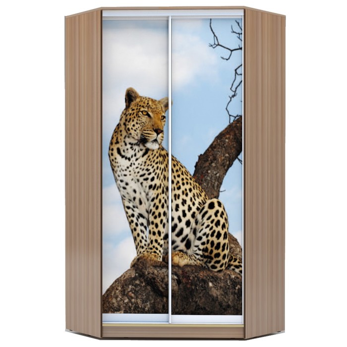 Угловой шкаф-купе Хит-У-23-4-77, 2300х1103х1103 Ясень шимо тёмный/Леопард