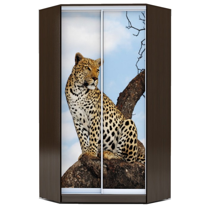 Угловой шкаф-купе Хит-У-23-4-77, 2300х1103х1103 Венге Магия/Леопард