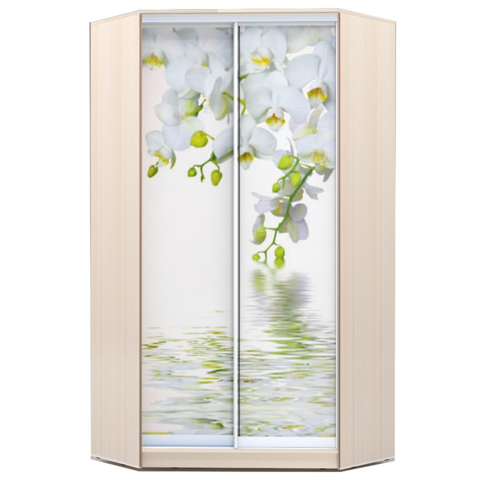 Угловой шкаф-купе Хит-У-23-4-77, 2300х1103х1103 Дуб Девонширский/Орхидея