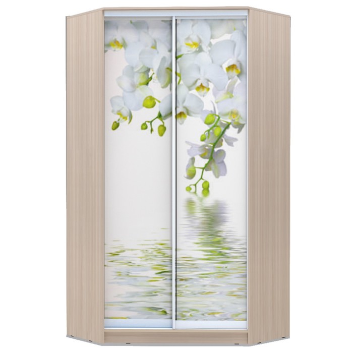 Угловой шкаф-купе Хит-У-23-4-77, 2300х1103х1103 Ясень шимо светлый/Орхидея