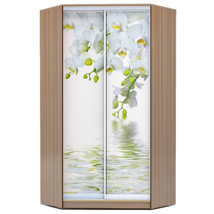 Угловой шкаф-купе Хит-У-23-4-77, 2300х1103х1103 Ясень шимо тёмный/Орхидея