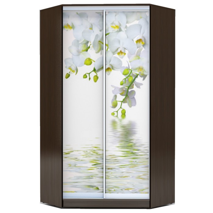 Угловой шкаф-купе Хит-У-23-4-77, 2300х1103х1103 Венге Магия/Орхидея