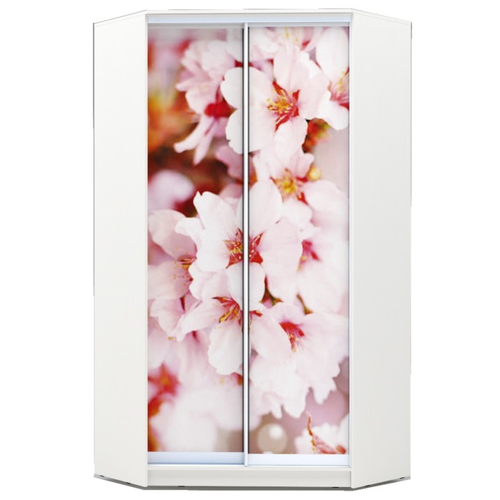 Угловой шкаф-купе Хит-У-23-4-77, 2300х1103х1103 Белый/Сакура