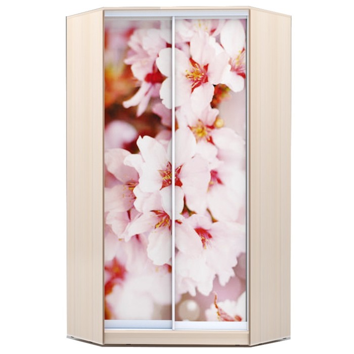 Угловой шкаф-купе Хит-У-23-4-77, 2300х1103х1103 Дуб Девонширский/Сакура