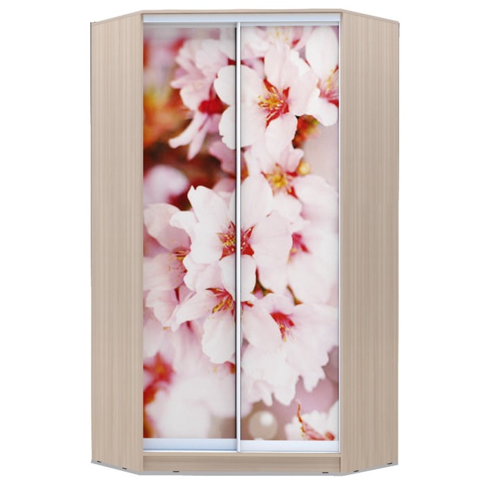 Угловой шкаф-купе Хит-У-23-4-77, 2300х1103х1103 Ясень шимо светлый/Сакура