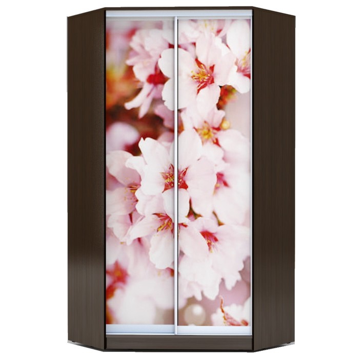 Угловой шкаф-купе Хит-У-23-4-77, 2300х1103х1103 Венге Магия/Сакура