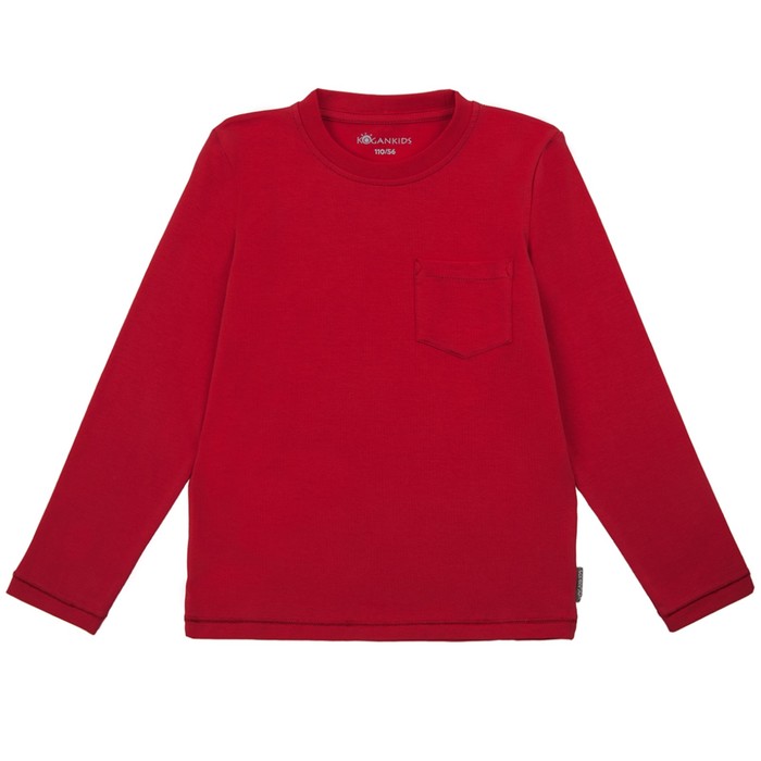 Джемпер для мальчика, рост 92 см, цвет красный 192-315-19