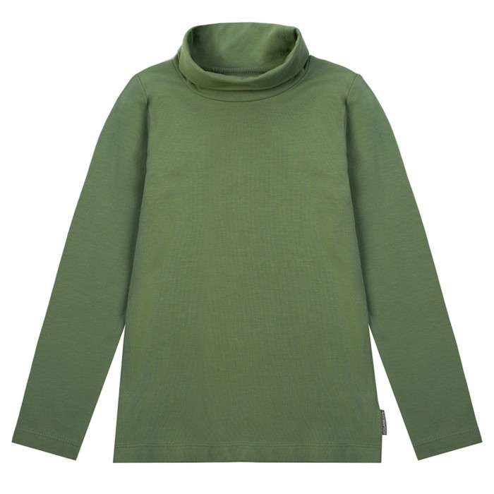 Водолазка для мальчика, рост 80 см, цвет хаки 192-318-53