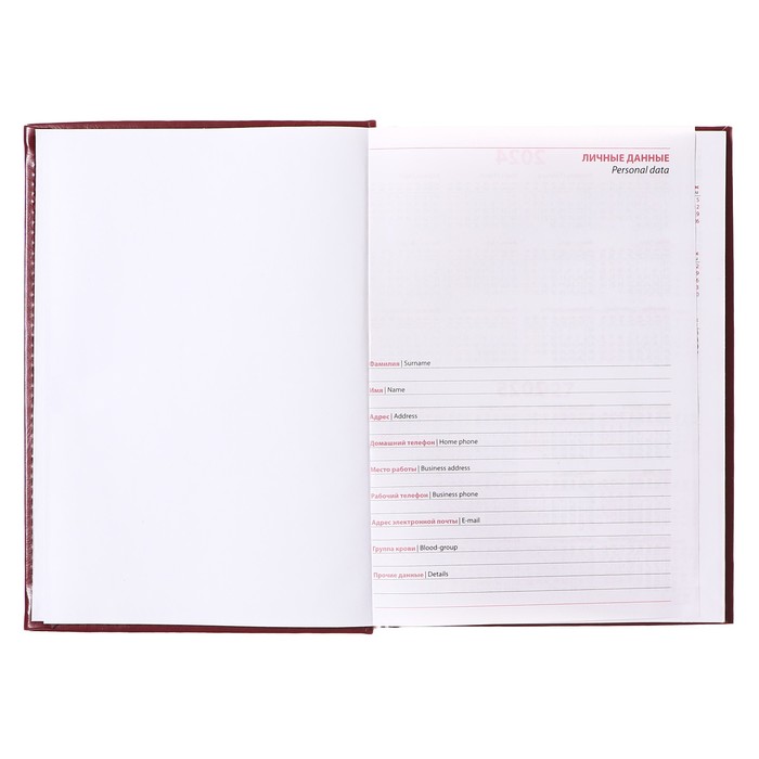 Ежедневник недатированный А5, 320 страниц, Небраска, бордо