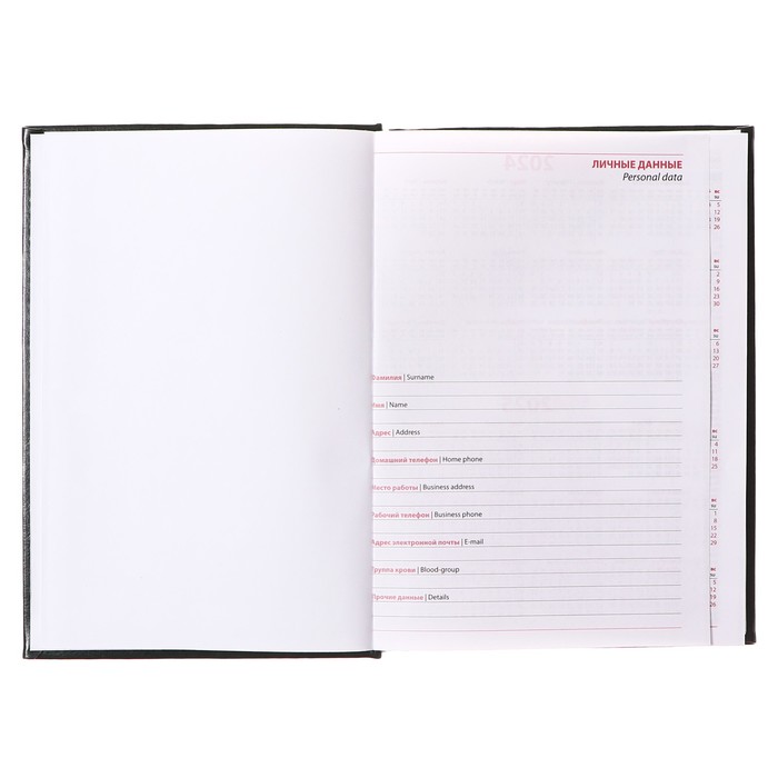 Ежедневник недатированный А5, 320 страниц, Небраска, зеленый