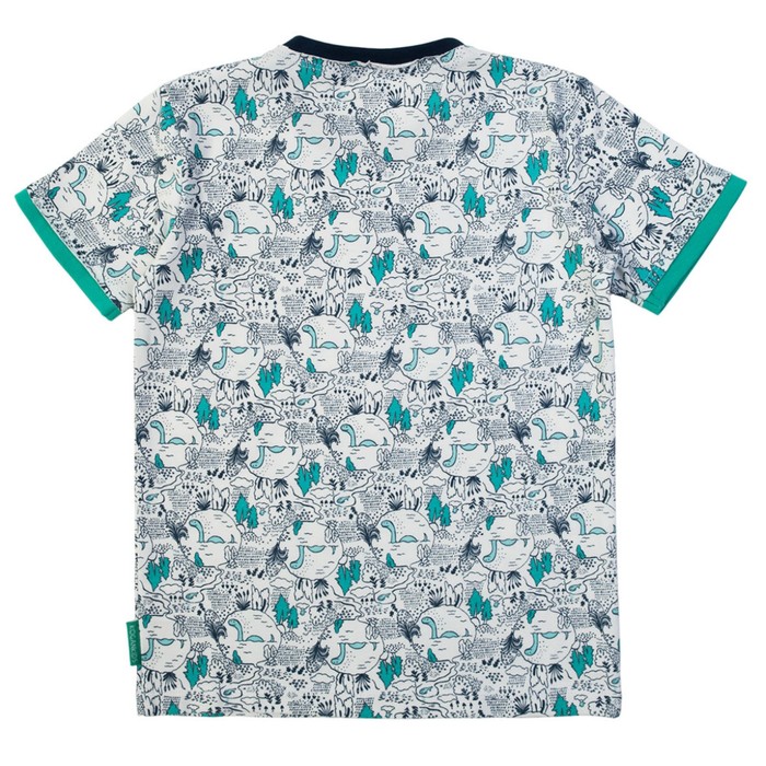 Футболка для мальчика, рост 110 см, молочный принт 192-310-55