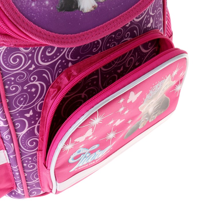 Ранец Стандарт ACTION! Animal Club 32*25*13 дев, сиреневый/розовый