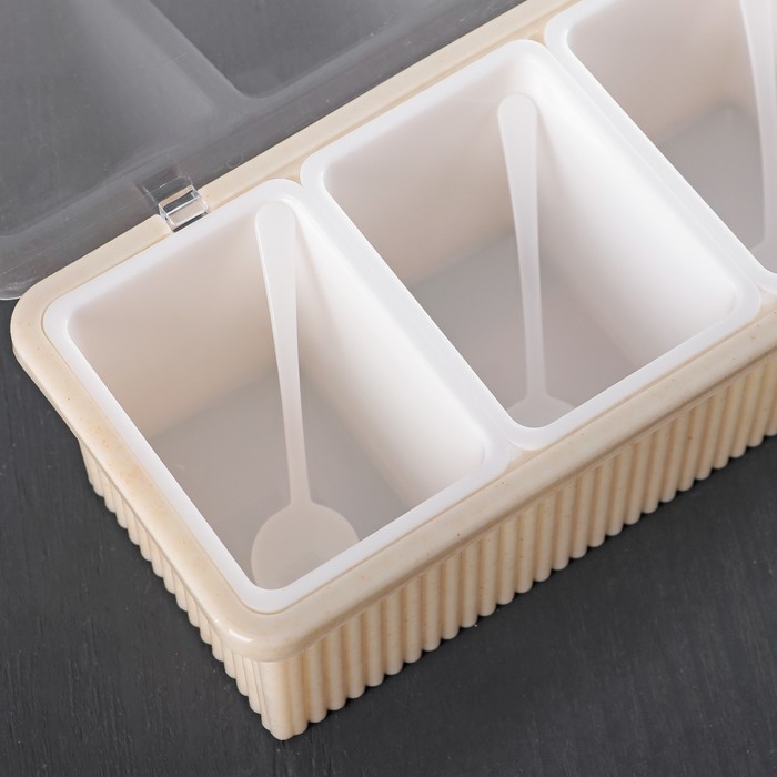 Емкость для сыпучих продуктов 4 отделения с ложками 28,5х11х7 см "Крапинка", цвета МИКС