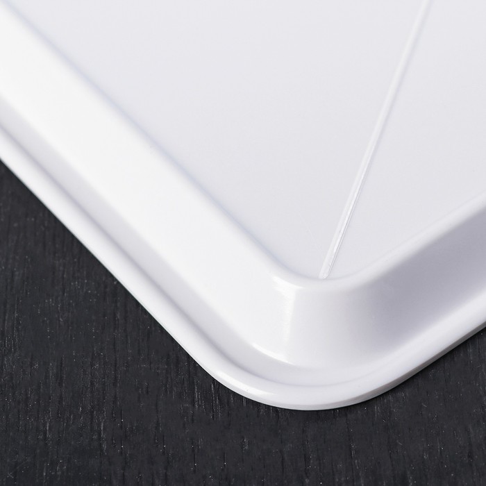 Поднос прямоугольный "Фламинго"