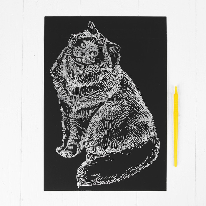 Гравюра "Рэгдолл" с металлическим эффектом серебра А4 + штихель