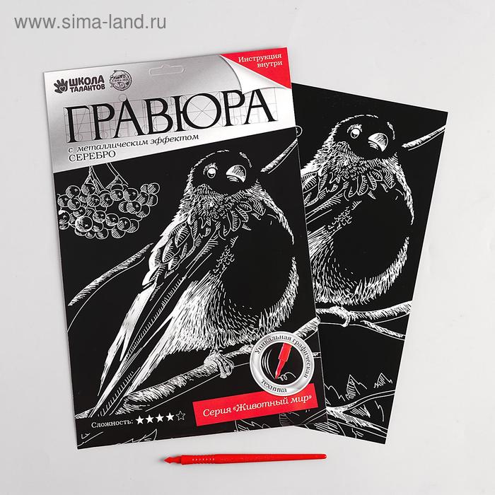 

Гравюра «Снегирь» с металлическим эффектом «серебро» А4 + штихель