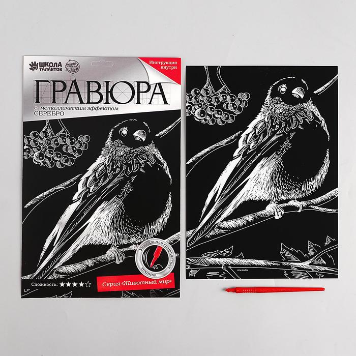 Гравюра "Снегирь" с металлическим эффектом серебра А4 + штихель