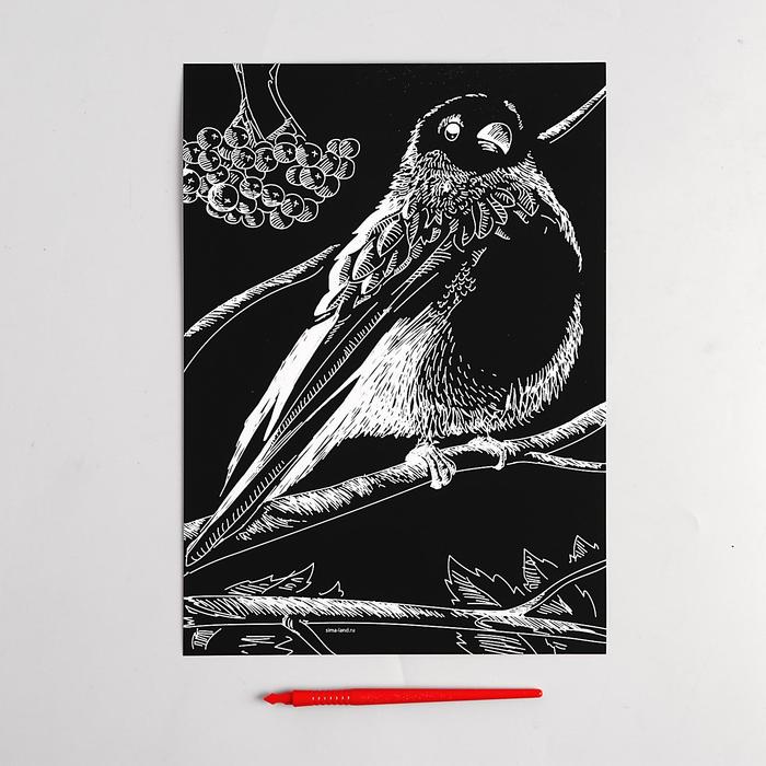 Гравюра "Снегирь" с металлическим эффектом серебра А4 + штихель