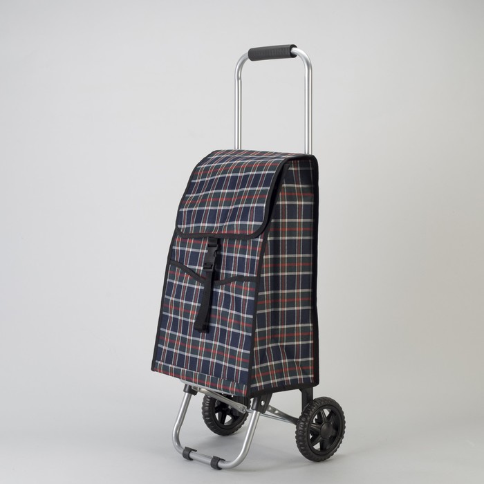 Сумка хозяйственная на колёсах «Клетка», отдел, 2 наружных кармана, нагрузка до 15 кг, цвет синий