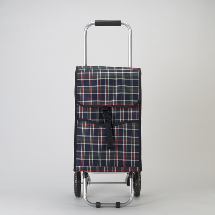 Сумка хозяйственная на колёсах «Клетка», отдел, 2 наружных кармана, нагрузка до 15 кг, цвет синий