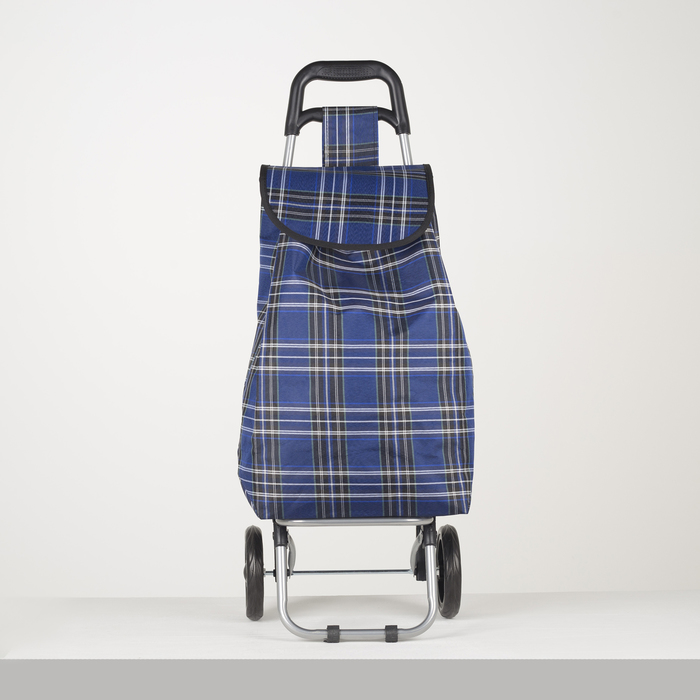 Сумка хозяйственная на колёсах «Клетка», отдел на шнурке, нагрузка до 15 кг, цвет синий/красный