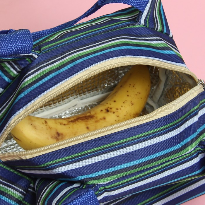 Термосумка «Полосы», отдел на молнии, цвет синий