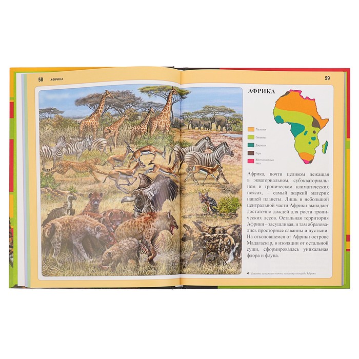 Животные. Панорама нужных знаний. Автор: Школьник Ю.К.